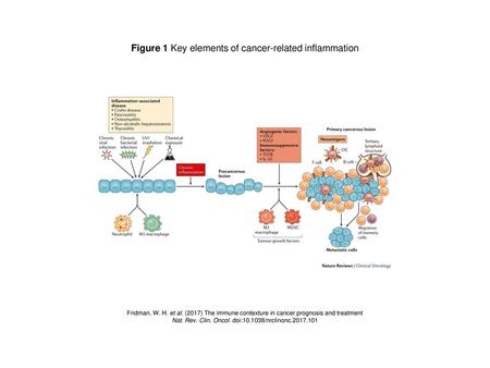 Figure 1 Key elements of cancer-related inflammation