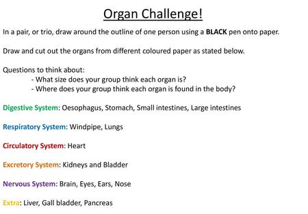 Organ Challenge! In a pair, or trio, draw around the outline of one person using a BLACK pen onto paper. Draw and cut out the organs from different coloured.