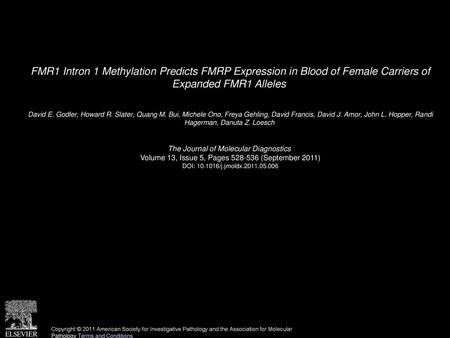 FMR1 Intron 1 Methylation Predicts FMRP Expression in Blood of Female Carriers of Expanded FMR1 Alleles  David E. Godler, Howard R. Slater, Quang M. Bui,