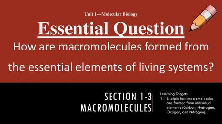 Section 1-3 Macromolecules