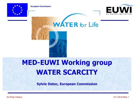 MED-EUWI Working group Sylvie Detoc, European Commission