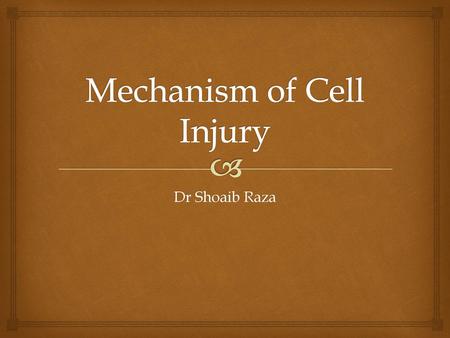 Mechanism of Cell Injury
