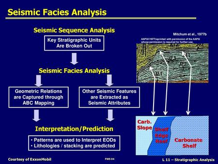 Seismic Facies Analysis