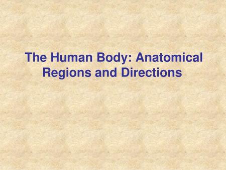 The Human Body: Anatomical Regions and Directions