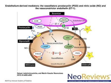 Endothelium-derived mediators: the vasodilators prostacyclin (PGI2) and nitric oxide (NO) and the vasoconstrictor endothelin (ET-1). Endothelium-derived.