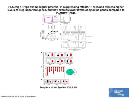 PLAUhigh Tregs exhibit higher potential in suppressing effector T cells and express higher levels of Treg‐important genes, but they express lower levels.