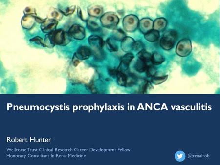 Pneumocystis prophylaxis in ANCA vasculitis