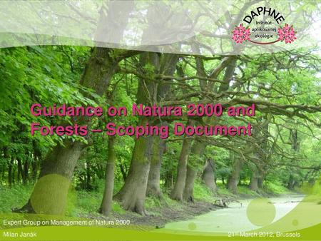 Guidance on Natura 2000 and Forests – Scoping Document