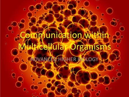 Communication within Multicellular Organisms