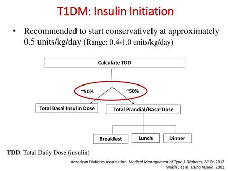 T1DM: Insulin Initiation