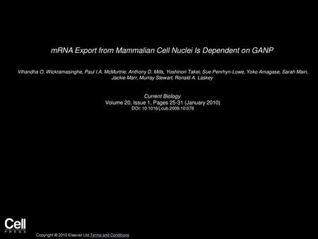 mRNA Export from Mammalian Cell Nuclei Is Dependent on GANP