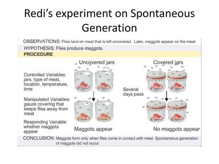 Redi’s experiment on Spontaneous Generation