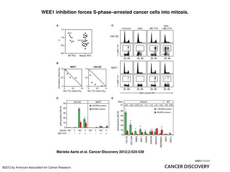 WEE1 inhibition forces S-phase–arrested cancer cells into mitosis.