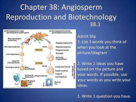Chapter 38: Angiosperm Reproduction and Biotechnology