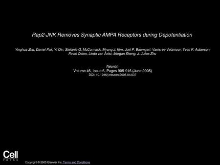 Rap2-JNK Removes Synaptic AMPA Receptors during Depotentiation