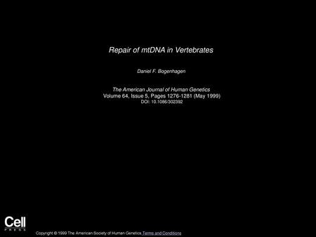 Repair of mtDNA in Vertebrates