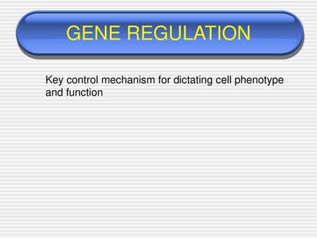 GENE REGULATION Key control mechanism for dictating cell phenotype