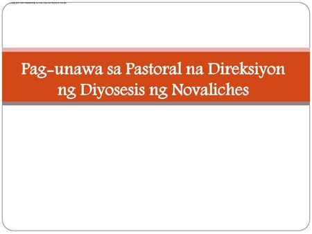 Pag-unawa sa Pastoral na Direksiyon ng Diyosesis ng Novaliches