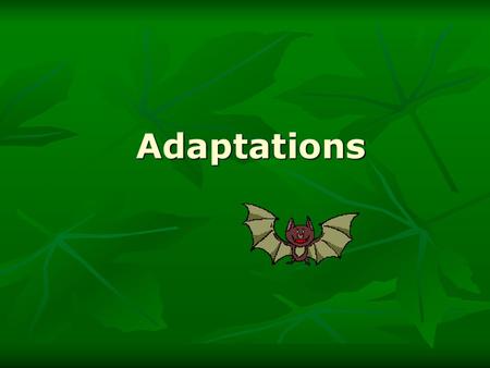Adaptations. - ppt video online download