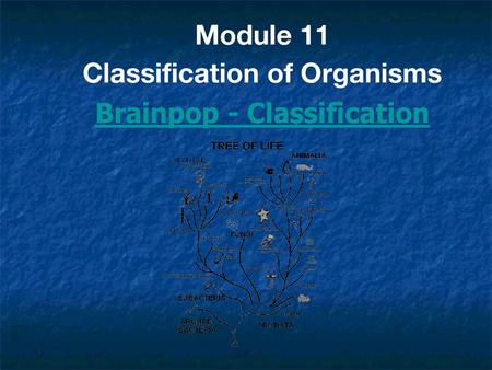 Module 11 Classification of Organisms Brainpop - Classification