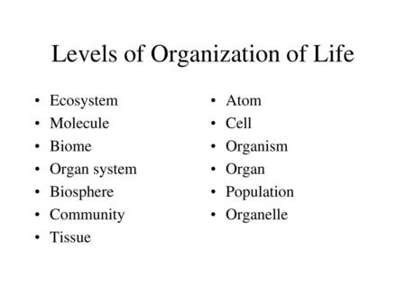 Levels of Organization of Life