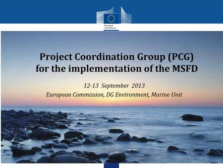 Project Coordination Group (PCG) for the implementation of the MSFD