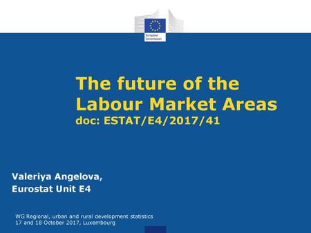 The future of the Labour Market Areas doc: ESTAT/E4/2017/41
