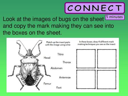 5 minutes Look at the images of bugs on the sheet and copy the mark making they can see into the boxes on the sheet.