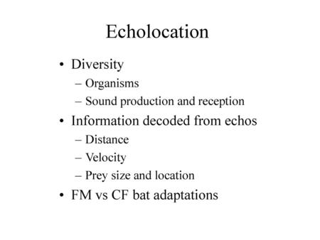 Echolocation Diversity Information decoded from echos