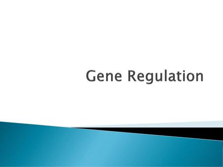 Gene Regulation.