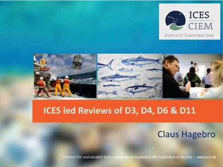 ICES led Reviews of D3, D4, D6 & D11