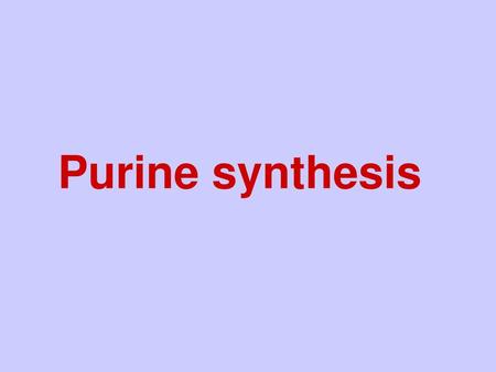 Purine synthesis Title slide..