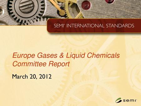 Europe Gases & Liquid Chemicals Committee Report