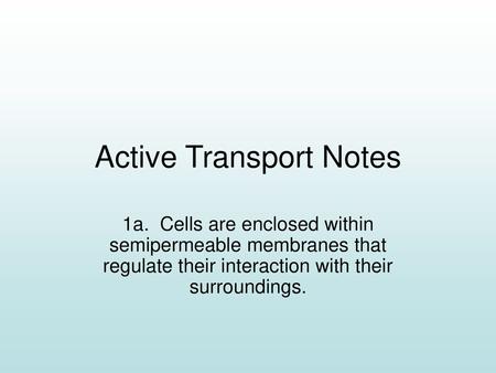 Active Transport Notes