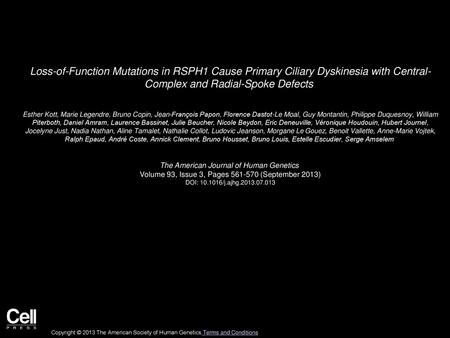 Loss-of-Function Mutations in RSPH1 Cause Primary Ciliary Dyskinesia with Central- Complex and Radial-Spoke Defects  Esther Kott, Marie Legendre, Bruno.