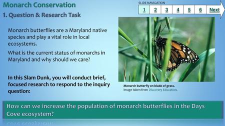 Monarch Conservation 1. Question & Research Task