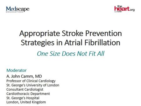 Appropriate Stroke Prevention Strategies in Atrial Fibrillation