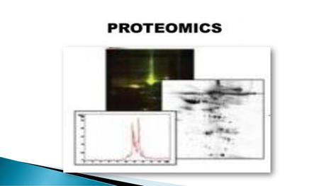 “Proteomics is a science that focuses on the study of proteins: their roles, their structures, their localization, their interactions, and other factors.”