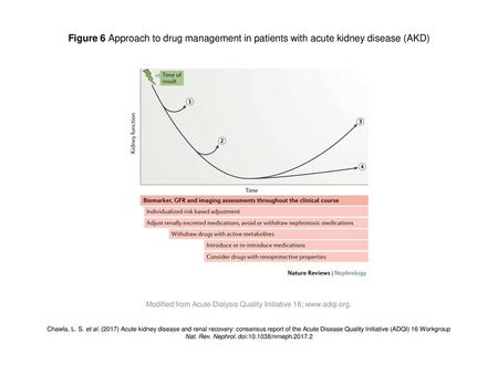 Figure 6 Approach to drug management in patients with acute kidney disease (AKD) Figure 6 | Approach to drug management in patients with acute kidney disease.
