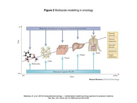 Figure 2 Multiscale modelling in oncology