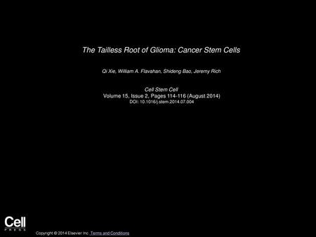 The Tailless Root of Glioma: Cancer Stem Cells