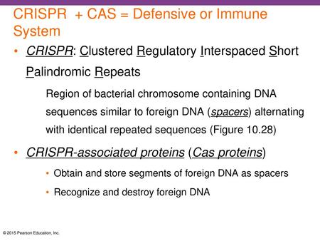CRISPR + CAS = Defensive or Immune System