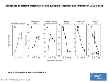 Abundance of proteins matching selected subcellular locations and functions in CaCo‐2 cells. Abundance of proteins matching selected subcellular locations.