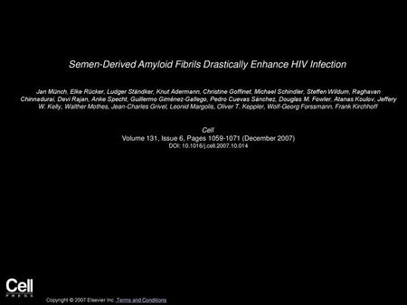 Semen-Derived Amyloid Fibrils Drastically Enhance HIV Infection