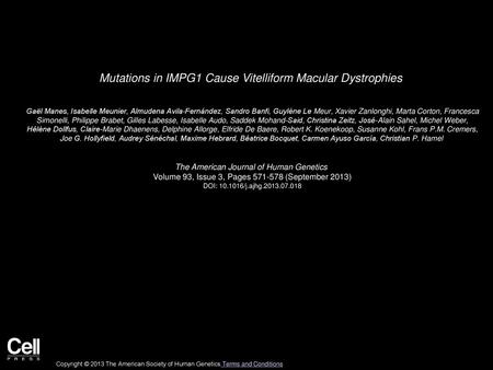 Mutations in IMPG1 Cause Vitelliform Macular Dystrophies