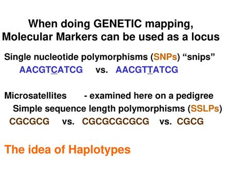 When doing GENETIC mapping, Molecular Markers can be used as a locus