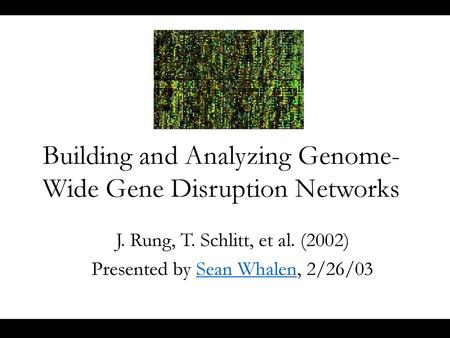 Building and Analyzing Genome-Wide Gene Disruption Networks