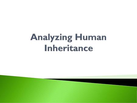 Analyzing Human Inheritance