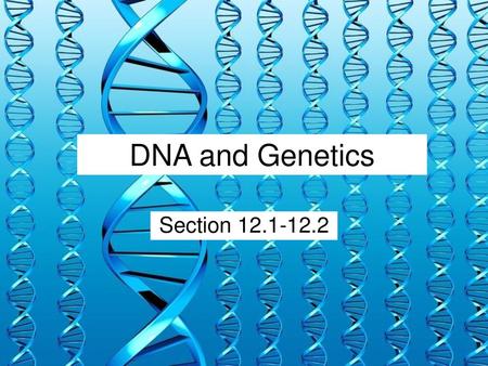 DNA and Genetics Section 12.1-12.2.
