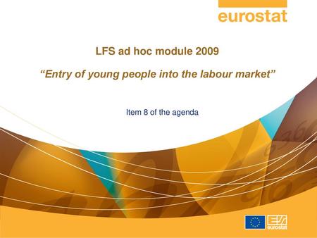 LFS ad hoc module 2009 “Entry of young people into the labour market”